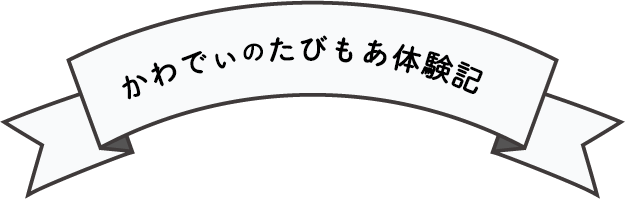 かわでぃのたびもあ体験記